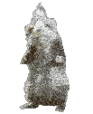 emoji_314