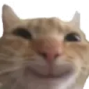 CatHappy