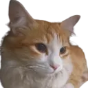 ladybread