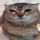 tole_tole custom emote | Gooner Server :3