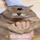 suckdontswallow Discord Emoji - Gooner Server :3