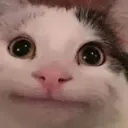 stare