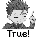RaidenTrue