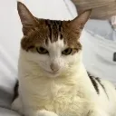 EvilBao2