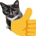3464thumbsupcat