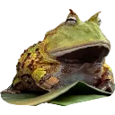 emoji_218