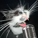 Meat3amsingingtoKpop