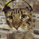 catmusic