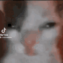 aaamedoxean