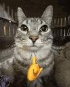 catmewing