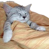 MR_Sleepy Discord sticker from #~ 𝐄𝐦𝐩𝐢𝐫𝐞 𝐖𝐞𝐬𝐭 𝟏𝟖𝟕