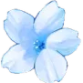 blue_flower