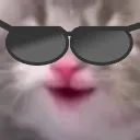 CoolDopey
