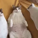 LaidbackBao
