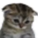 emoji_13