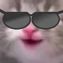 CoolDopey