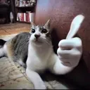 catthumsup