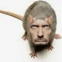 drmouse