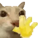 catwave