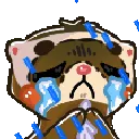 FerretCry