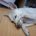 emoji_5 custom emote | TFSNIPERs server