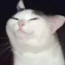 emoji_132