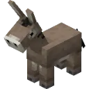 BabyDonkey