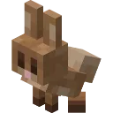 BabyRabbit BabyRabbit
