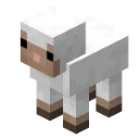 BabySheep