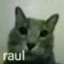 rauling