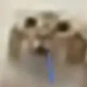 OughCat