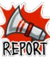 report