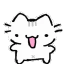 cat_yay