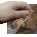 emoji_4