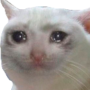 emoji_23 Discord sticker from رول بلاي سيتي | City Role play S2