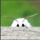 56757567