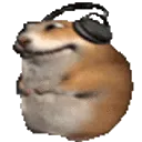 hamstervibe