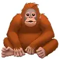 ook