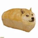 doge_bread