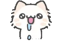 catdrool