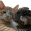 emoji_24 Discord Emoji | ma&mo 4ever