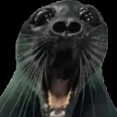 ShockedSeal
