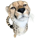 cheethmm Discord Emoji - trans chompers