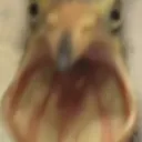 scream