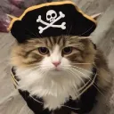 :Meowaye: