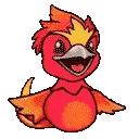 hey