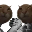 GigabuhHandshake
