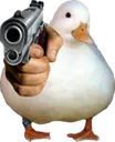 duckpoint