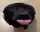 getsreallyexcitedandwagsmytailsu getsreallyexcitedandwagsmytailsu