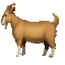 88964rainbowgoat animated Discord emote | Lefo's Crib
